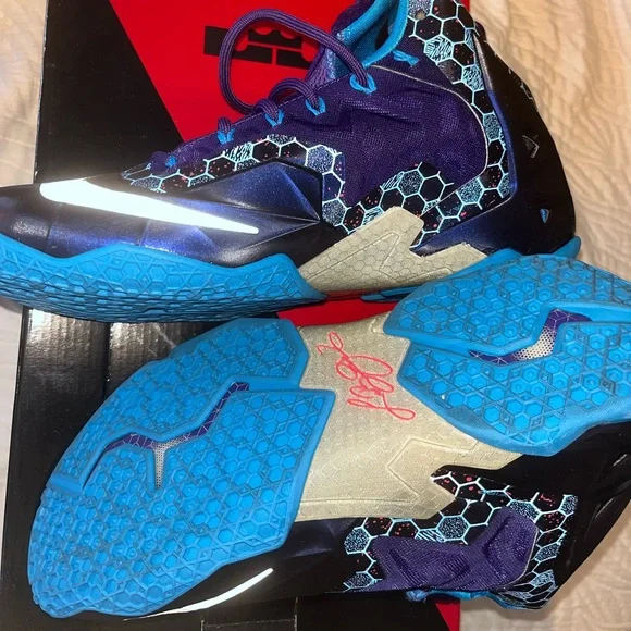 Nike LeBron Xl